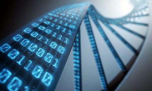 

metaMask最新安卓版：全方位指南與使用技巧

關鍵詞
MetaMask, 加密錢包, 區(qū)塊鏈/guanjianci

詳細介紹

在當今數(shù)字化時代，去中心化金融的興起使得越來越多的用戶開始關注和使用加密貨幣，而MetaMask作為一個領先的數(shù)字錢包和去中心化應用（DApp）平臺，成為了用戶與區(qū)塊鏈世界的橋梁。最新的MetaMask安卓版更是增加了多種新特性，提升了用戶體驗，本文將詳細介紹MetaMask的使用方法、功能特點，以及常見問題的解答。

MetaMask安卓版的功能特點

MetaMask不僅提供了一種安全的方式來存儲和管理加密貨幣，還允許用戶直接與區(qū)塊鏈進行交互。在最新的安卓版中，引入了更多創(chuàng)新功能，如：易用的用戶界面、更加多樣化的資產(chǎn)管理、增強的安全性以及更快的交易確認等。

1. strong用戶友好的界面/strong
新版MetaMask提供了一個更直觀的用戶界面，簡化了錢包的操作步驟，使得新手用戶也能輕松上手。用戶可以快速查看自己的資產(chǎn)、交易記錄以及DApp訪問歷史。

2. strong多種資產(chǎn)支持/strong
MetaMask支持以太坊和ERC-20代幣的管理，用戶可以在單一的應用程序中管理多種數(shù)字資產(chǎn)，方便性大大增強。

3. strong安全性提升/strong
最新版本增加了額外的安全防護措施，用戶可以通過面部識別或指紋識別等生物驗證技術來保護他們的錢包，進一步保障資產(chǎn)安全。

4. strong高效交易處理/strong
MetaMask最新版了交易處理流程，用戶可以更快地完成交易，提高了在DApp中交互的流暢性。

使用MetaMask的步驟

使用MetaMask的第一步是下載并安裝應用程序。在Android設備上，可以從Google Play商店下載安裝。安裝完成后，用戶需要創(chuàng)建一個新的錢包或恢復已有錢包。

1. strong創(chuàng)建錢包/strong
打開MetaMask應用，點擊“創(chuàng)建錢包”，然后設置一個復雜且安全的密碼。隨后，用戶會獲得一個助記詞，務必將其妥善保存，助記詞是恢復錢包的唯一憑證。

2. strong添加資產(chǎn)/strong
可以通過‘添加資產(chǎn)’功能，將自己持有的ERC-20代幣添加到錢包中。用戶只需輸入代幣的合約地址、符號及小數(shù)位數(shù)，系統(tǒng)就會自動識別并添加。

3. strong進行交易/strong
通過MetaMask，用戶可以輕松進行轉賬和接收加密貨幣。在主頁選擇“發(fā)送”或“接收”，按提示操作即可完成交易。

常見問題分析

1. 如何保證MetaMask錢包的安全性？

MetaMask的安全性是用戶最為關注的話題，尤其是在頻繁的網(wǎng)絡攻擊和騙局發(fā)生的背景下。為了最大限度地保護錢包，用戶應采取以下幾條措施：

1. strong妥善保管助記詞和私鑰/strong
助記詞是恢復錢包的重要憑證，切勿隨意分享或存儲于網(wǎng)絡上。私鑰也同樣重要，其泄露將導致資產(chǎn)失竊。

2. strong啟用雙重認證/strong
盡可能開啟雙重認證（2FA），這為登錄添加了一道額外的安全防線。

3. strong定期更新應用/strong
保持MetaMask應用的最新版本，以確保擁有最新的安全防護和功能。

4. strong小心釣魚攻擊/strong
很多騙子使用釣魚網(wǎng)站或假應用程序獲取用戶資料，務必確保訪問官方網(wǎng)站或官方應用商店下載應用，避免點擊不明鏈接。

2. 如何處理MetaMask中的交易失敗問題？

在使用MetaMask時，用戶偶爾可能會遇到交易失敗的情況，這可能由于網(wǎng)絡擁堵、氣體費用設置不當或合約問題引起。處理此類問題的步驟如下：

1. strong檢查網(wǎng)絡狀態(tài)/strong
確保Ethereum網(wǎng)絡正常運行，可以通過一些區(qū)塊鏈瀏覽器（如Etherscan）查看網(wǎng)絡狀態(tài)。

2. strong調(diào)整氣體費用/strong
交易失敗常由于氣體費用過低，用戶可以適當提高氣體價格，以確保交易被礦工快速處理。

3. strong耐心等待/strong
有時候只是網(wǎng)絡擁堵，稍等片刻后再次提交交易或許能解決問題。

4. strong查看交易記錄/strong
通過查看歷史交易記錄，用戶可以了解交易失敗的具體原因，如是否因余額不足、目標地址無效等問題導致的。

3. MetaMask與其他加密錢包的對比

在選擇加密錢包時，用戶需要了解不同錢包的優(yōu)缺點。以MetaMask與其他流行錢包（如Trust Wallet和Coinbase Wallet）為例，進行比較：

1. strong用戶友好性：/strong
MetaMask以其簡潔易用的界面而著稱，適合新手用戶，而Trust Wallet同樣友好，但在界面上稍顯復雜。Coinbase Wallet則依托于Coinbase生態(tài)，用戶可以享受更多的功能，但界面復雜度稍高。

2. strong功能強大：/strong
MetaMask支持訪問各種DApp和DeFi服務，用戶可進行交易、質(zhì)押和借貸等操作。Trust Wallet同樣支持多種資產(chǎn)和DApp，而Coinbase Wallet則受制于其平臺的限制，功能相對單一。

3. strong安全性：/strong
MetaMask的私鑰和助記詞保存在用戶本地，安全性較高。但用戶需自覺防范釣魚攻擊。Trust Wallet則提供了非托管錢包的選項，安全性更上層樓。Coinbase Wallet因依賴于中心化平臺，安全性則相對較低。

4. 常見的MetaMask使用技巧

為了更好地利用MetaMask，用戶可以掌握一些實用技巧如下：

1. strong使用硬件錢包結合MetaMask/strong
可以將MetaMask與硬件錢包（如Ledger或Trezor）結合使用，進一步加強安全性。用戶在進行重大交易或持有大額資產(chǎn)時建議如此操作。

2. strong定期備份錢包/strong
定期更新助記詞并進行備份，以避免數(shù)據(jù)丟失的風險。

3. strong多賬戶管理/strong
MetaMask支持多賬戶管理，用戶可以根據(jù)需求創(chuàng)建多個錢包，便于資產(chǎn)的分類管理。

4. strong參與社區(qū)和學習/strong
加入MetaMask相關的社區(qū)或論壇，獲取最新動態(tài)和使用技巧，與其他用戶交流經(jīng)驗，幫助自己更好地掌握MetaMask。

總之，MetaMask是一個功能強大且安全的數(shù)字錢包，用戶只需掌握基本的使用技巧和安全措施，即可順暢地在區(qū)塊鏈世界游刃有余。以上內(nèi)容希望能幫助到每一位使用MetaMask的用戶，提升他們在加密貨幣與區(qū)塊鏈技術領域的認知和操作能力。