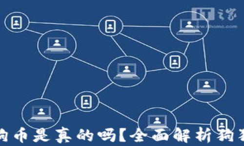 
小狐錢包存狗狗幣是真的嗎？全面解析狗狗幣存儲(chǔ)安全性