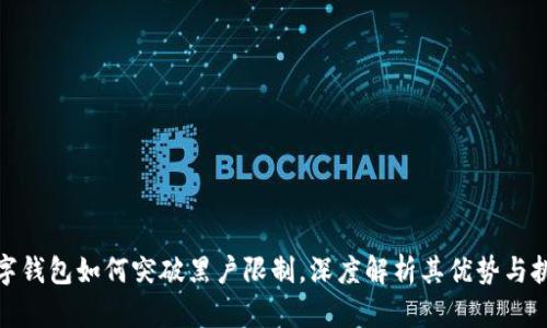 數(shù)字錢包如何突破黑戶限制，深度解析其優(yōu)勢與挑戰(zhàn)