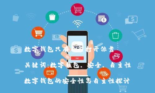 數(shù)字錢包只有自己打開依靠

關鍵詞：數(shù)字錢包, 安全, 自主性

數(shù)字錢包的安全性與自主性探討