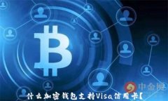 什么加密錢包支持Visa信用