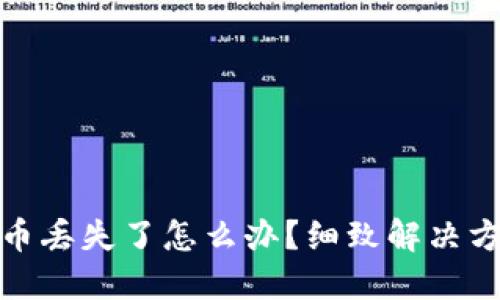 小狐錢包幣丟失了怎么辦？細(xì)致解決方案大揭秘
