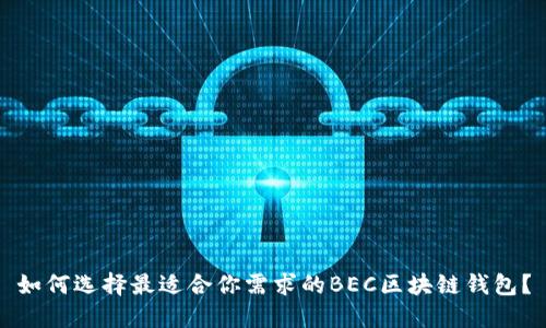 如何選擇最適合你需求的BEC區(qū)塊鏈錢包？