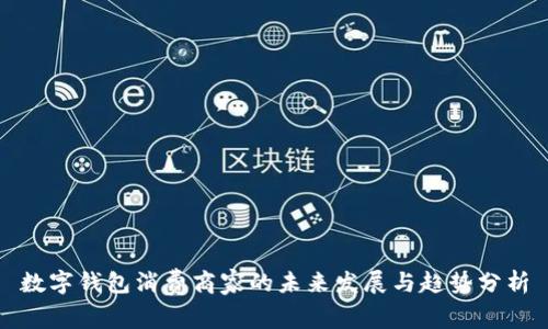 數(shù)字錢包消費(fèi)商家的未來發(fā)展與趨勢(shì)分析